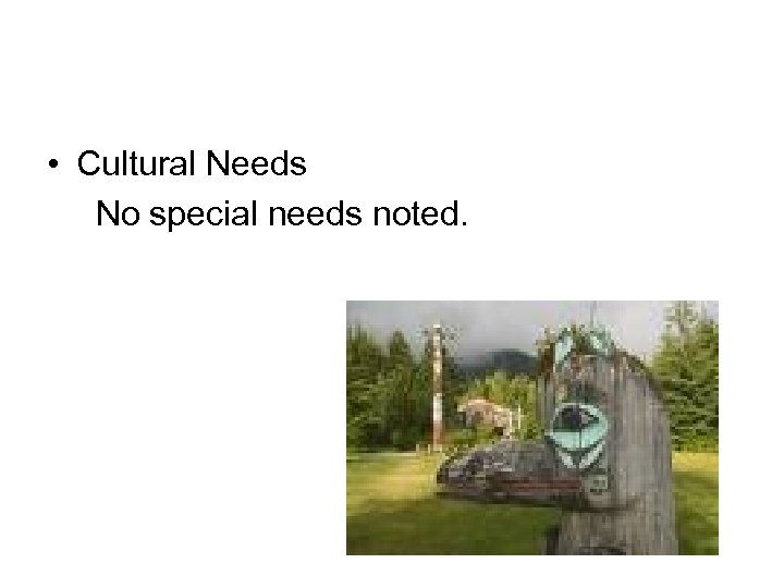  • Cultural Needs No special needs noted. 