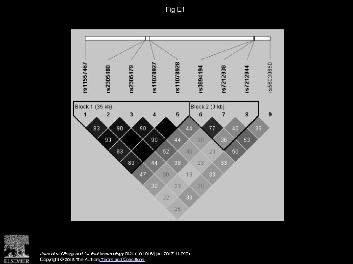 Fig E 1 Journal of Allergy and Clinical Immunology DOI: (10. 1016/j. jaci. 2017.