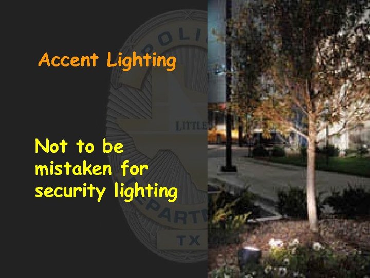 Accent Lighting Not to be mistaken for security lighting 