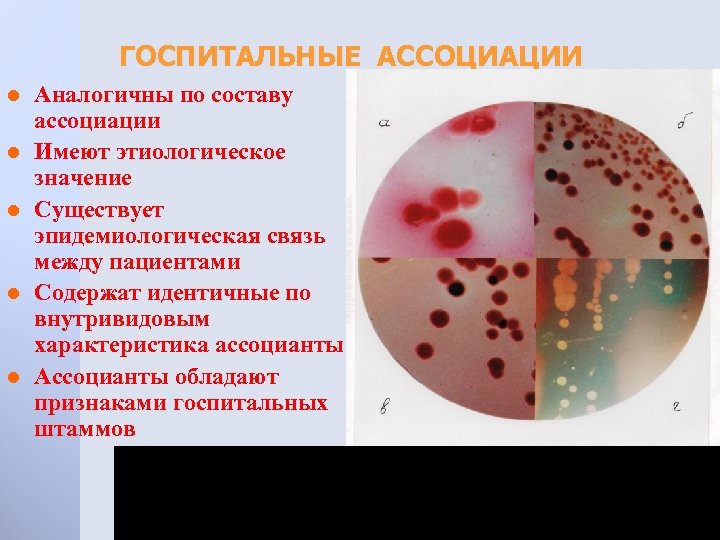 ГОСПИТАЛЬНЫЕ АССОЦИАЦИИ l l l Аналогичны по составу ассоциации Имеют этиологическое значение Существует эпидемиологическая