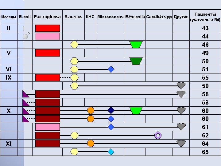 Месяцы E. coli P. aeruginosa S. aureus КНС Micrococcus E. faecalis Candida spp Другие