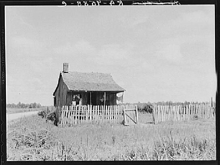 Plantation cotton cabin. Mississippi Delta, near Vicksburg. 