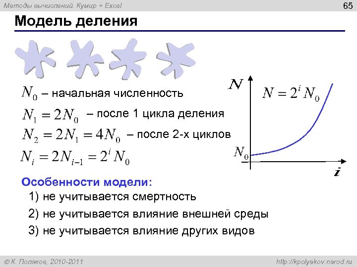 65 Методы вычислений. Кумир + Excel Модель деления – начальная численность – после 1