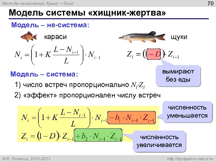 70 Методы вычислений. Кумир + Excel Модель системы «хищник-жертва» Модель – не-система: караси щуки