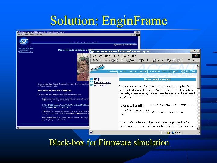 Solution: Engin. Frame Black-box for Firmware simulation 