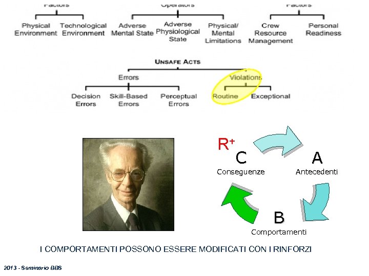 R+ C A Antecedenti Conseguenze B Comportamenti I COMPORTAMENTI POSSONO ESSERE MODIFICATI CON I