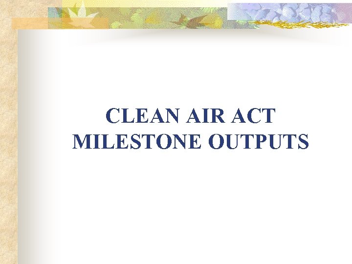 CLEAN AIR ACT MILESTONE OUTPUTS 
