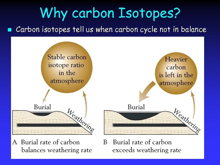 Why carbon Isotopes? n Carbon isotopes tell us when carbon cycle not in balance