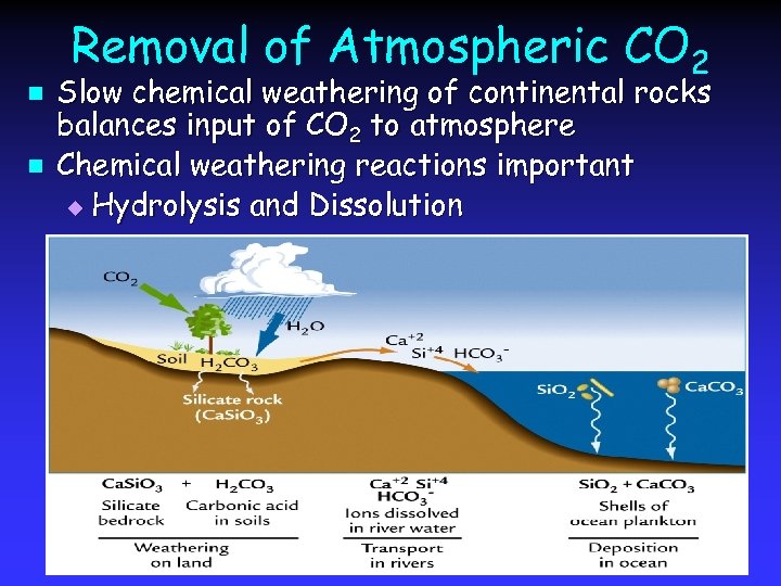 n n Removal of Atmospheric CO 2 Slow chemical weathering of continental rocks balances