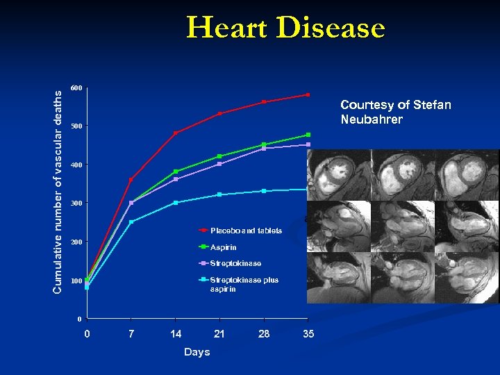 Cumulative number of vascular deaths Heart Disease 600 Courtesy of Stefan Neubahrer 500 400