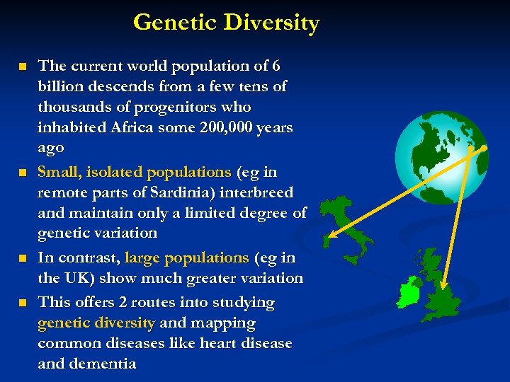 Genetic Diversity n n The current world population of 6 billion descends from a