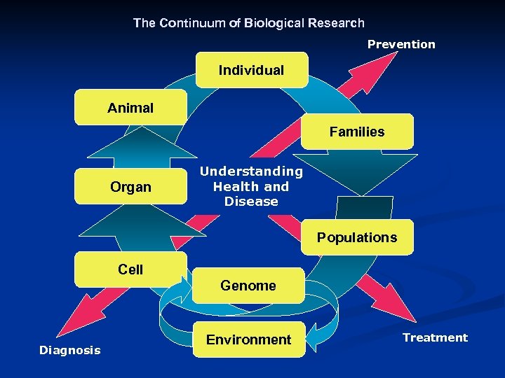 The Continuum of Biological Research Prevention Individual Animal Families Organ Understanding Health and Disease