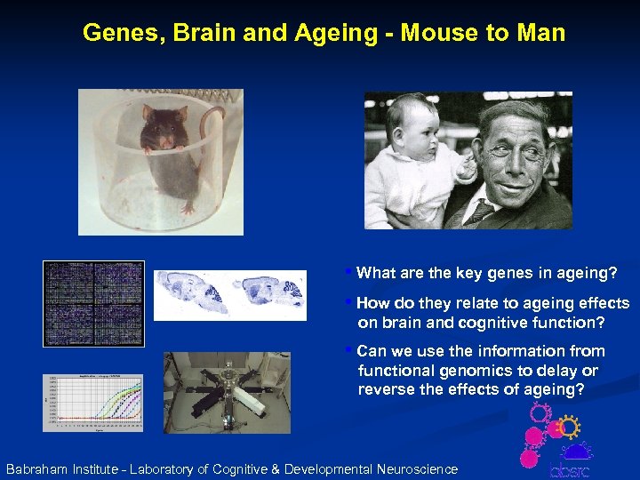 Genes, Brain and Ageing - Mouse to Man • What are the key genes