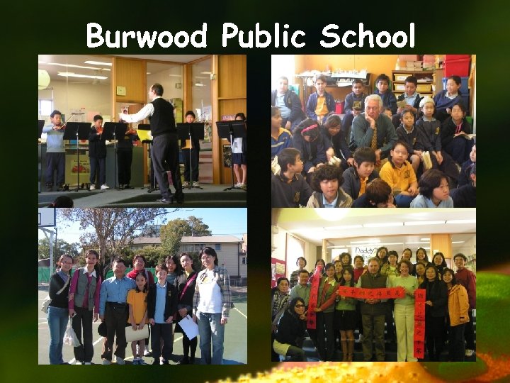 Burwood Public School 