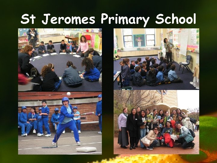 St Jeromes Primary School 