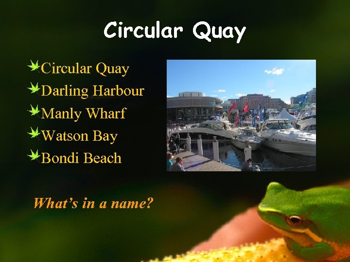 Circular Quay Darling Harbour Manly Wharf Watson Bay Bondi Beach What’s in a name?