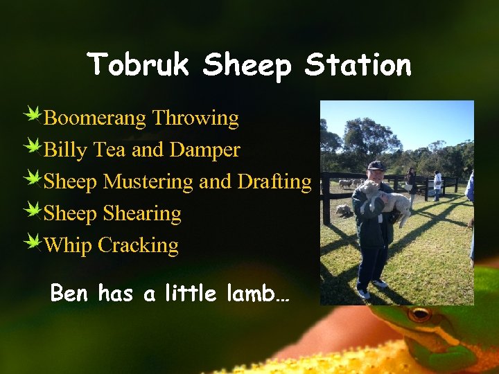 Tobruk Sheep Station Boomerang Throwing Billy Tea and Damper Sheep Mustering and Drafting Sheep