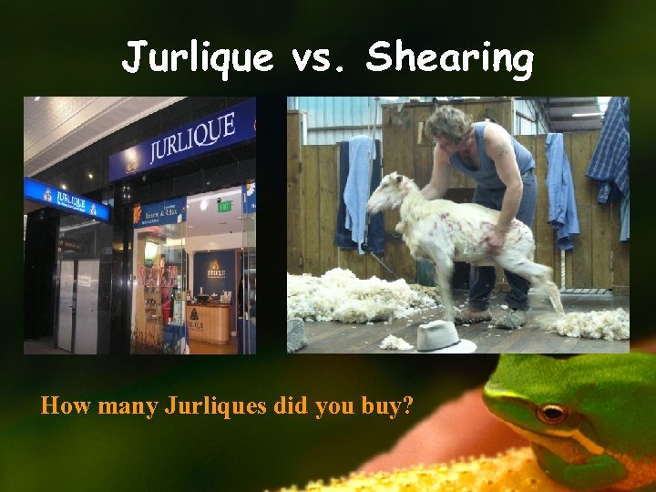 Jurlique vs. Shearing How many Jurliques did you buy? 