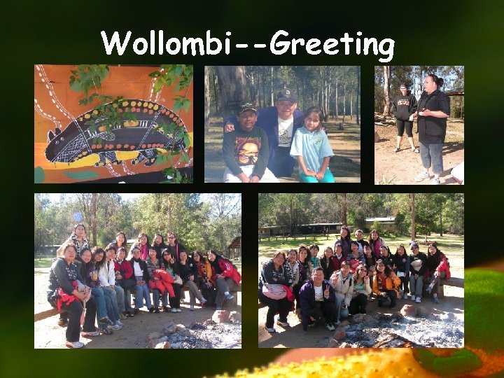 Wollombi--Greeting 