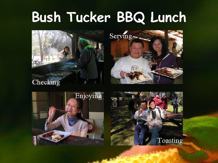 Bush Tucker BBQ Lunch Serving Checking Enjoying Toasting 
