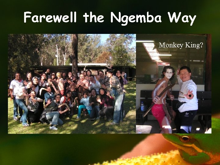 Farewell the Ngemba Way Monkey King? 