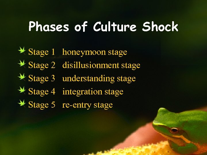 Phases of Culture Shock Stage 1 Stage 2 Stage 3 Stage 4 Stage 5