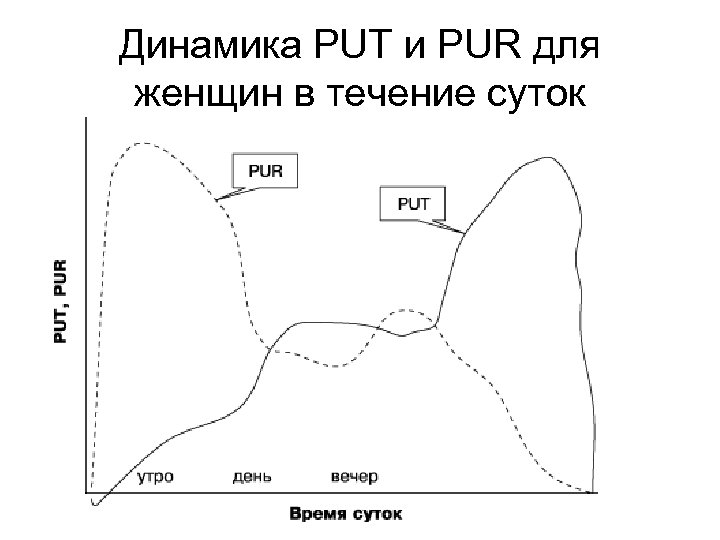 Динамика PUT и PUR для женщин в течение суток 