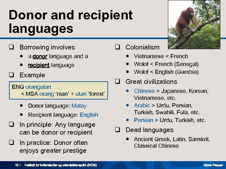 Donor and recipient languages q Borrowing involves ● a donor language and a ●