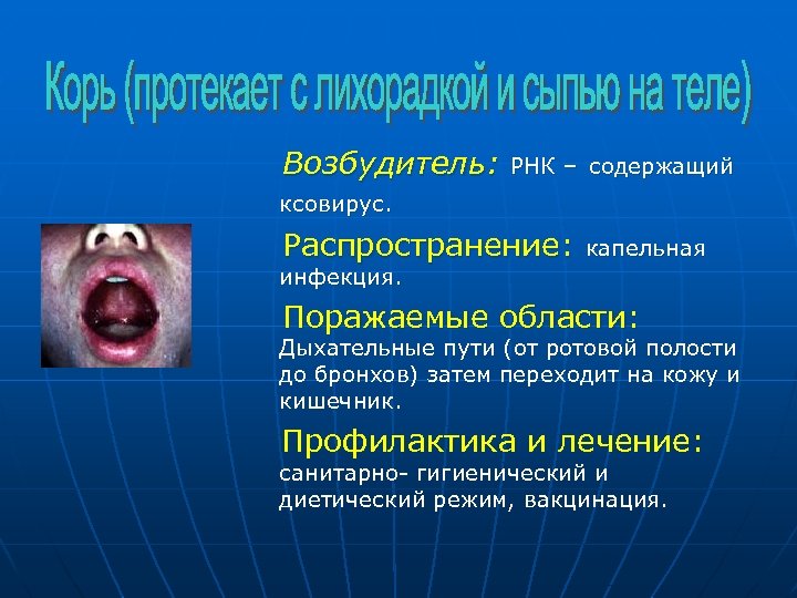 Возбудитель: РНК – содержащий ксовирус. Распространение: капельная инфекция. Поражаемые области: Дыхательные пути (от ротовой