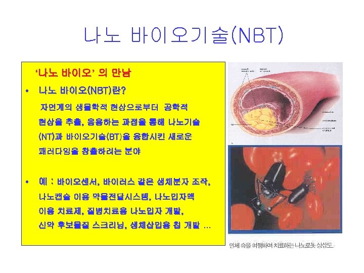 나노 바이오기술(NBT) ‘나노 바이오’ 의 만남 • 나노 바이오(NBT)란? 자연계의 생물학적 현상으로부터 공학적 현상을
