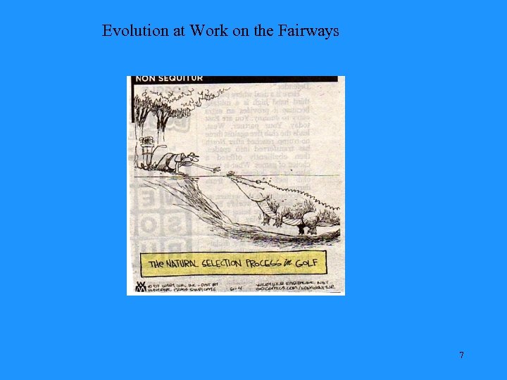 Evolution at Work on the Fairways 7 