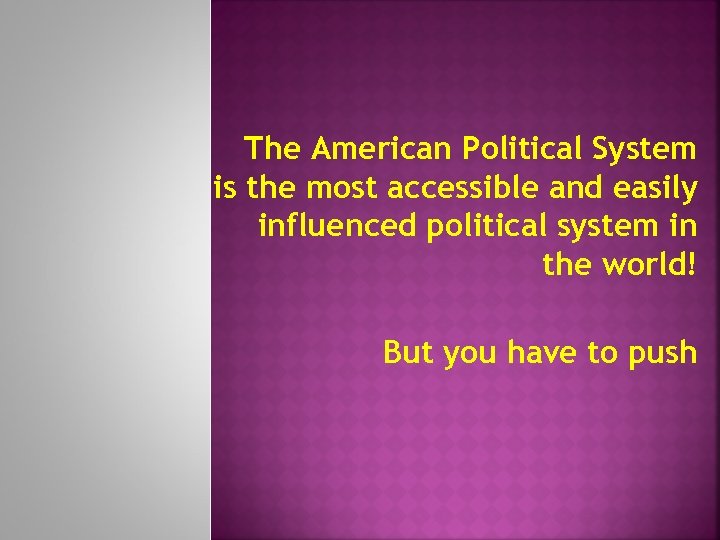The American Political System is the most accessible and easily influenced political system in