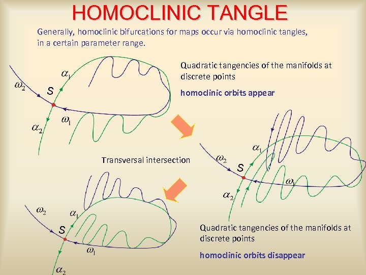 HOMOCLINIC TANGLE Generally, homoclinic bifurcations for maps occur via homoclinic tangles, in a certain