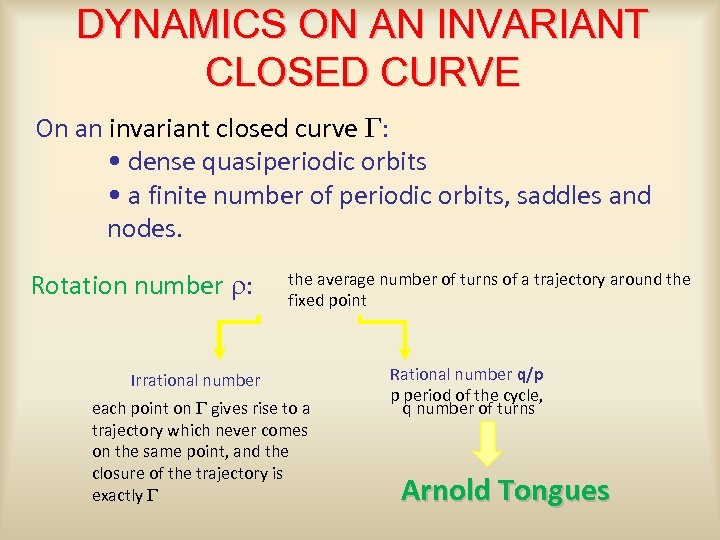 DYNAMICS ON AN INVARIANT CLOSED CURVE On an invariant closed curve G: • dense