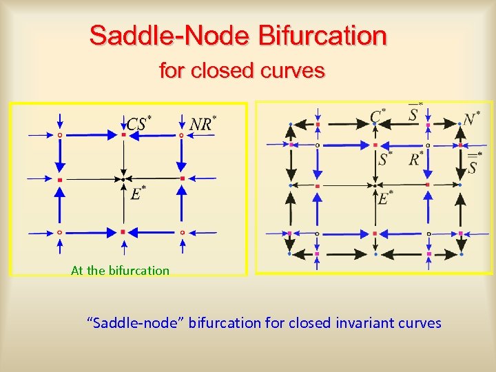 Saddle-Node Bifurcation for closed curves At the bifurcation “Saddle-node” bifurcation for closed invariant curves