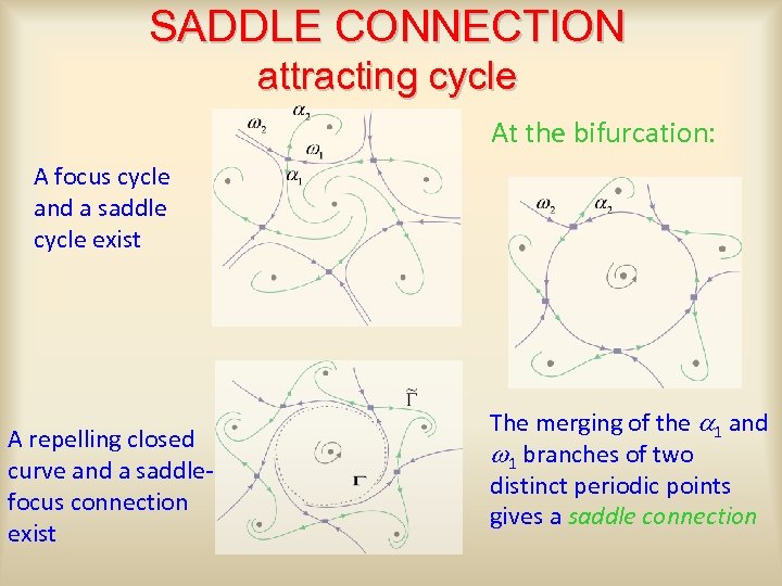 SADDLE CONNECTION attracting cycle At the bifurcation: A focus cycle and a saddle cycle