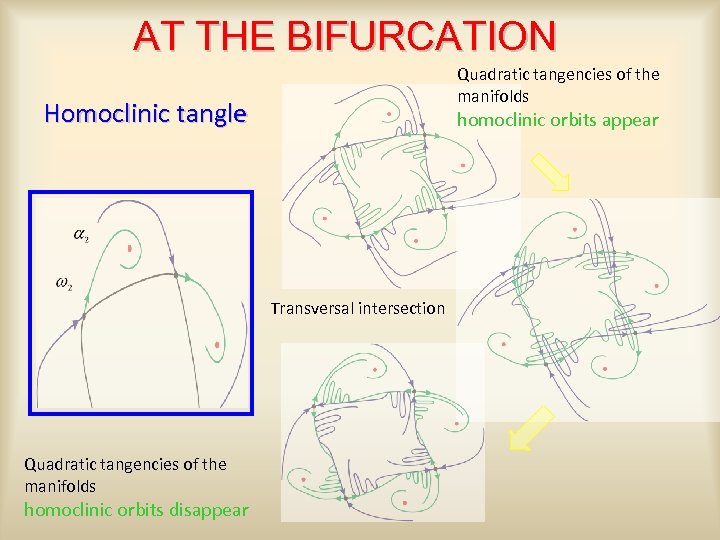 AT THE BIFURCATION Quadratic tangencies of the manifolds Homoclinic tangle homoclinic orbits appear Transversal