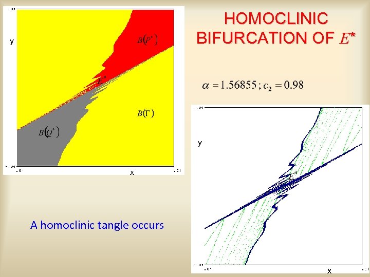 HOMOCLINIC BIFURCATION OF E* y y x A homoclinic tangle occurs x 