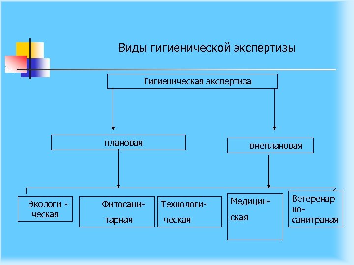 Виды гигиенической экспертизы Гигиеническая экспертиза плановая Экологи ческая Фитосани тарная внеплановая Технологи ческая Медицин