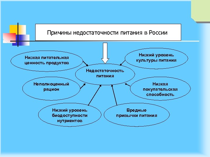 Причины недостаточности питания в России Низкий уровень культуры питания Низкая питательная ценность продуктов Недостаточность