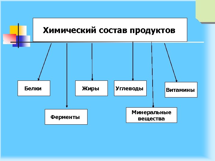 Химический состав продуктов Белки Жиры Ферменты Углеводы Витамины Минеральные вещества 