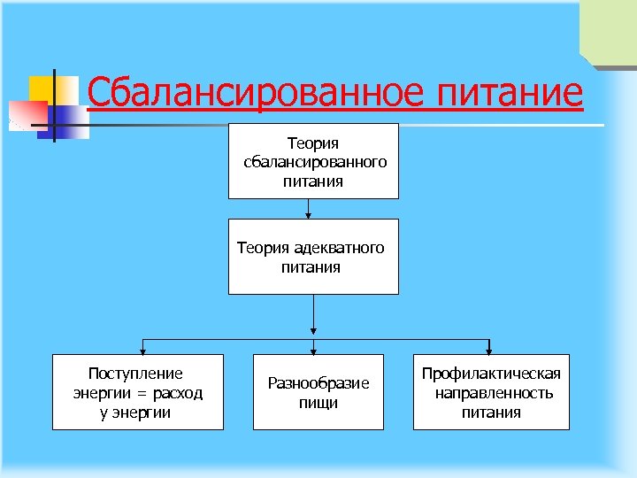 Сбалансированное питание Теория сбалансированного питания Теория адекватного питания Поступление энергии = расход у энергии