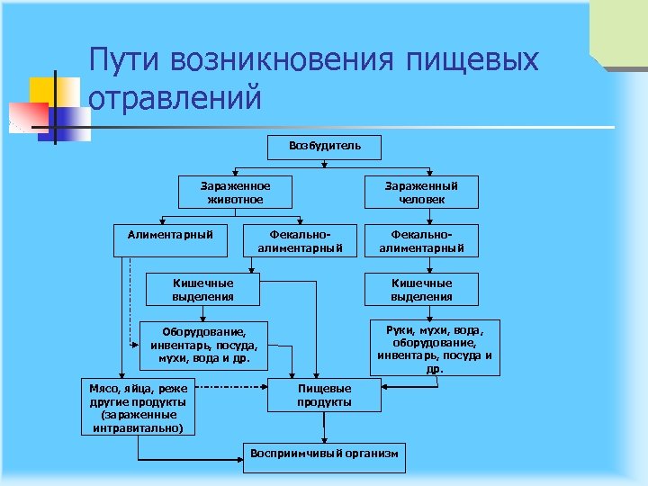 Пути возникновения пищевых отравлений Возбудитель Зараженное животное Алиментарный Зараженный человек Фекально алиментарный Кишечные выделения