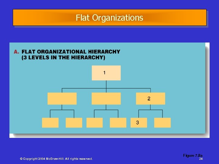 Flat Organizations © Copyright 2004 Mc. Graw-Hill. All rights reserved. Figure 7. 8 a