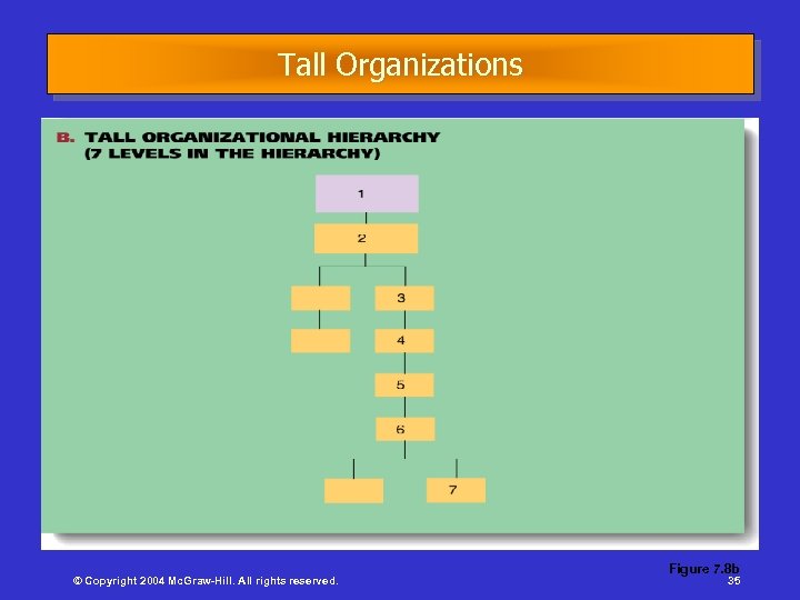 Tall Organizations © Copyright 2004 Mc. Graw-Hill. All rights reserved. Figure 7. 8 b