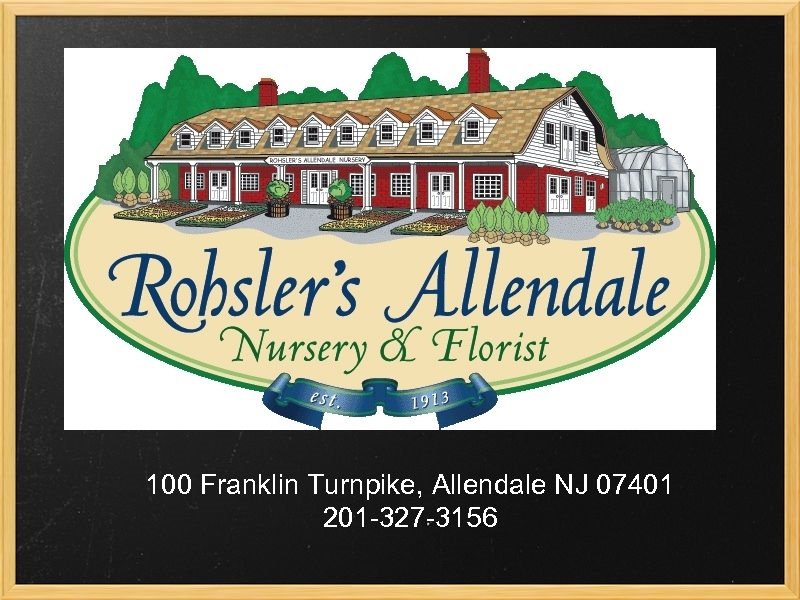 100 Franklin Turnpike, Allendale NJ 07401 201 -327 -3156 