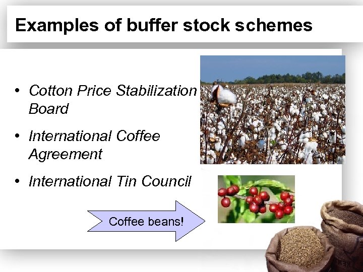 Examples of buffer stock schemes • Cotton Price Stabilization Board • International Coffee Agreement