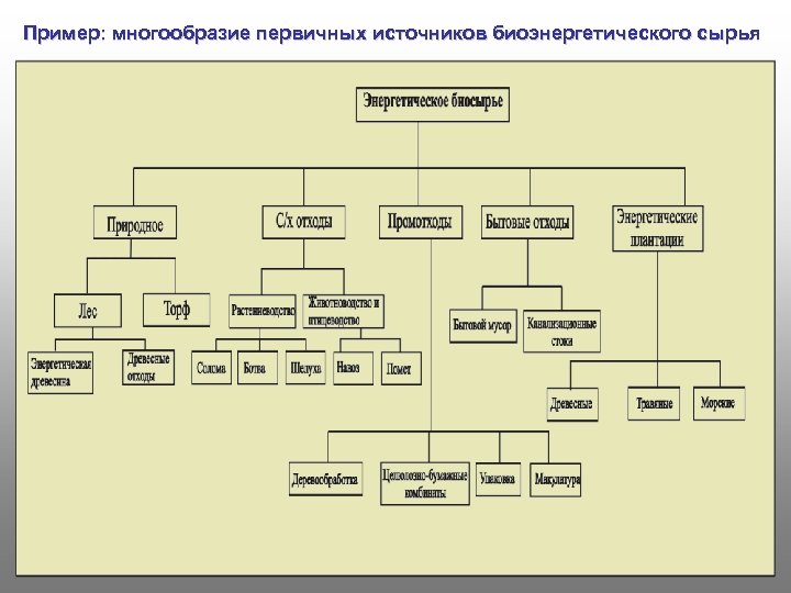 Пример: многообразие первичных источников биоэнергетического сырья 