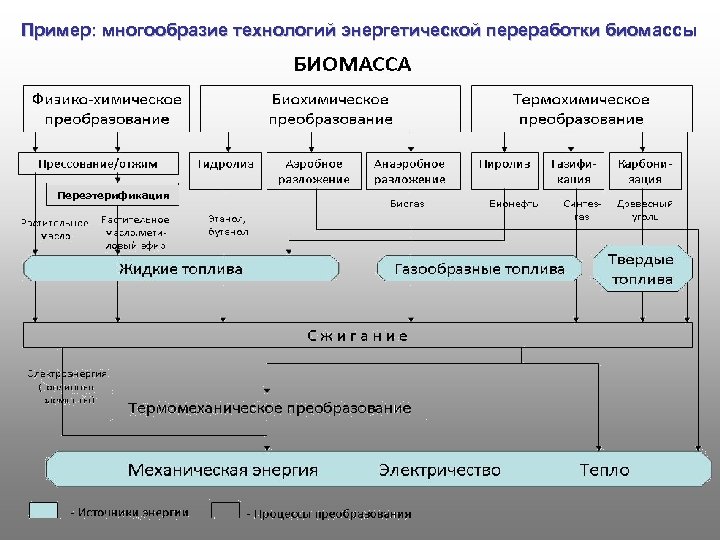 Пример: многообразие технологий энергетической переработки биомассы Переэтерификация 