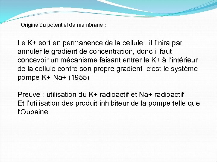 Origine du potentiel de membrane : Le K+ sort en permanence de la cellule